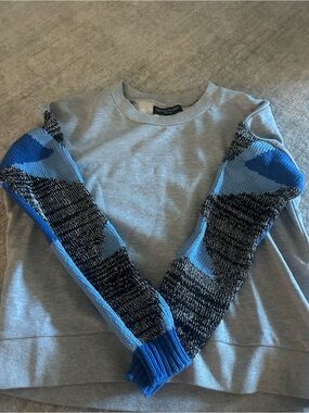 Light Gray Crewneck Sweater with Blue Patterned Sleeves - ACCEPTING OFFERS